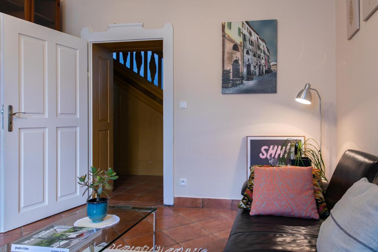 Vila Witke Dolní Dunajovice 外观 照片